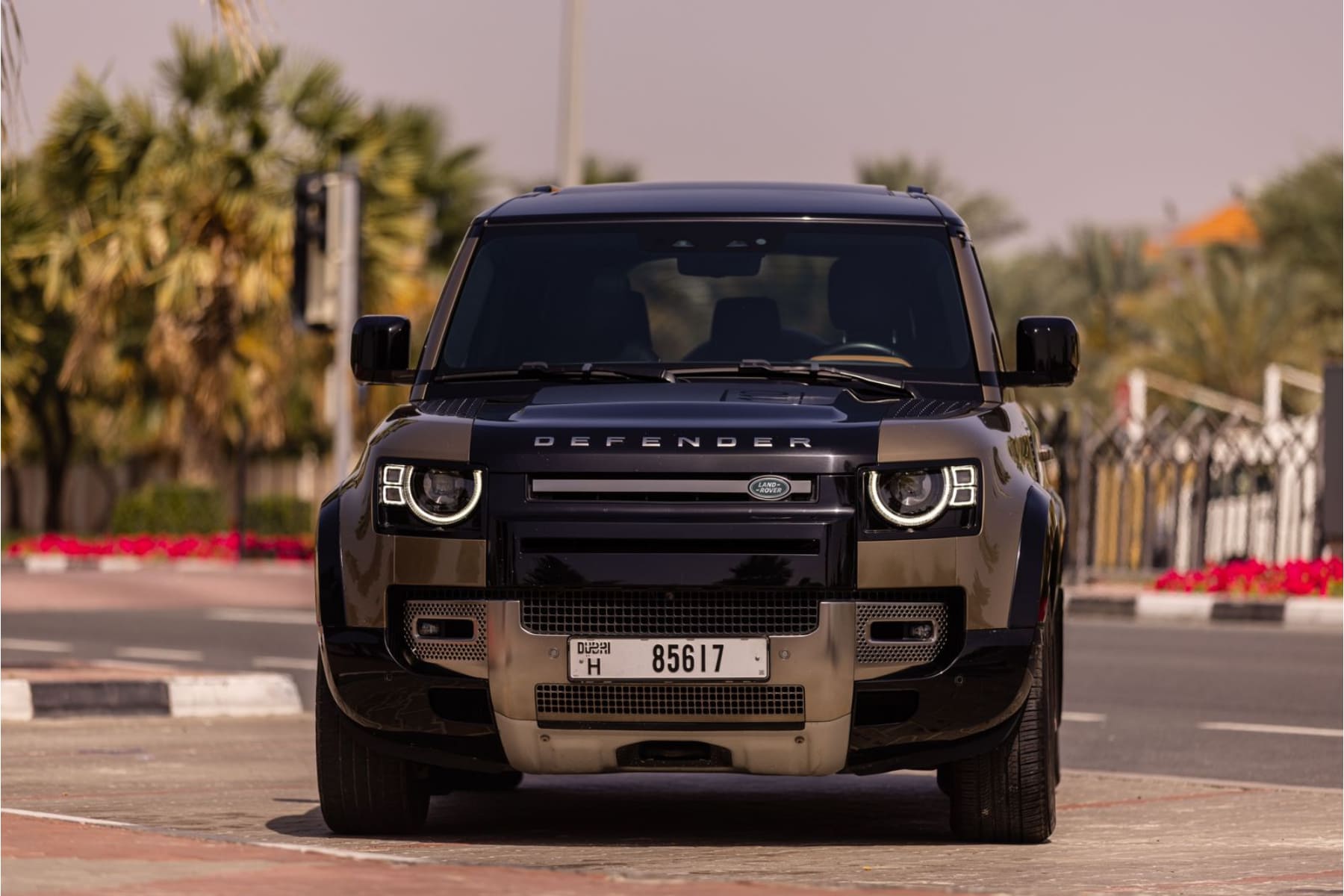 Land Rover Defender view 9