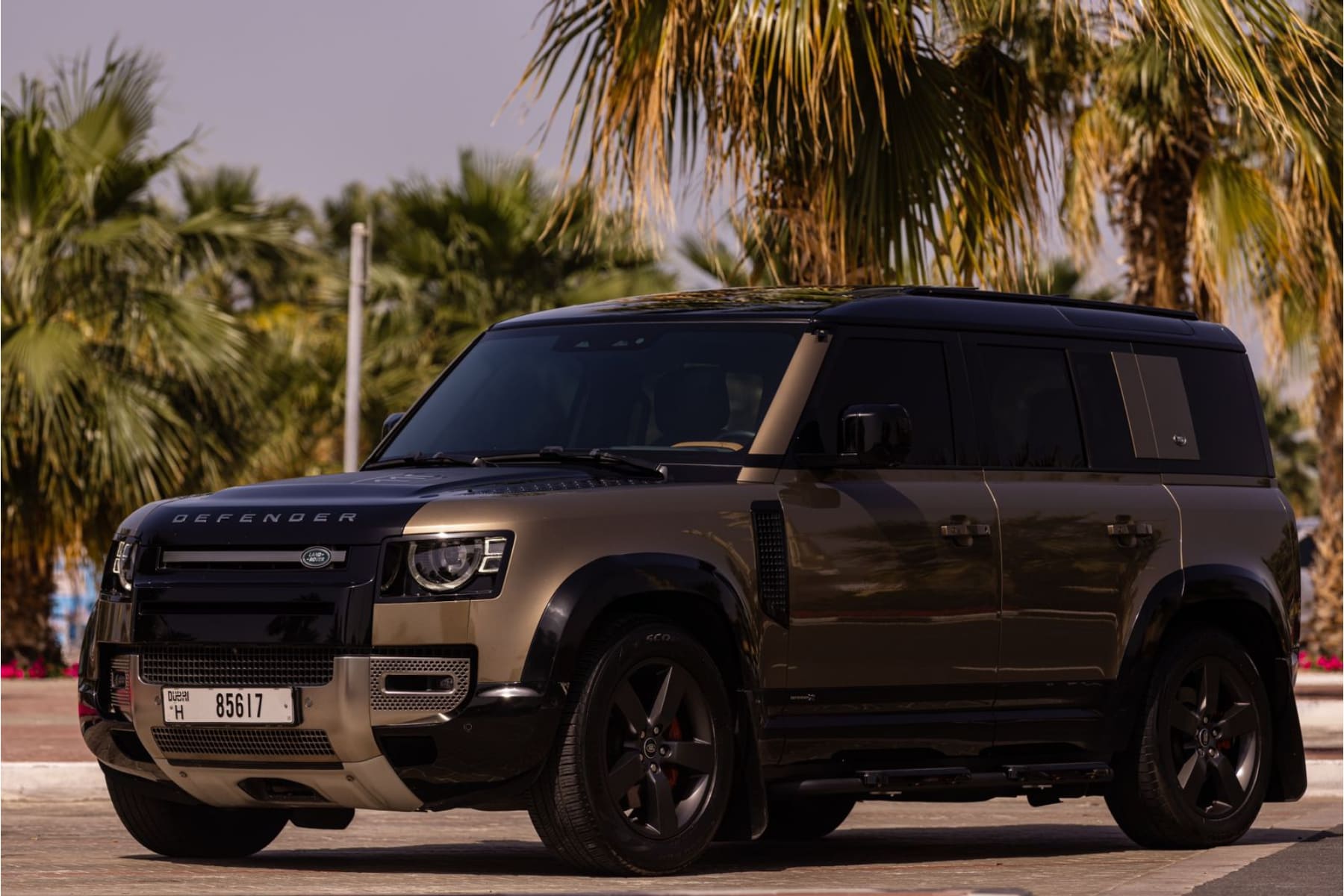 Land Rover Defender view 12